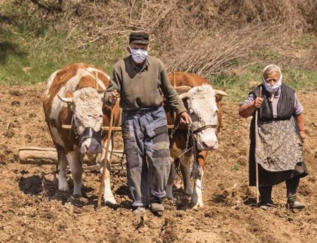 SRBIJA1
